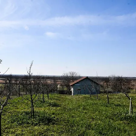 Apartment Vocnjak *