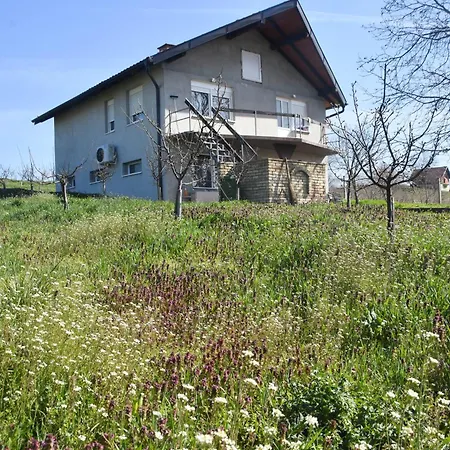 Vocnjak Apartment Sivac