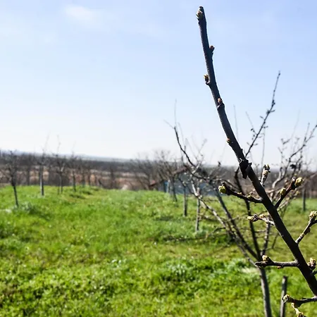 Appartement Vocnjak Sivac