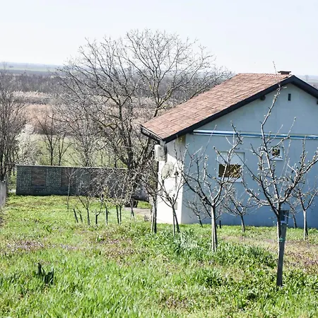Apartment Vocnjak