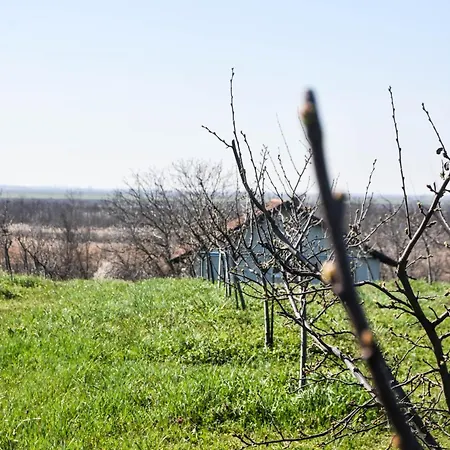 Vocnjak Appartement *