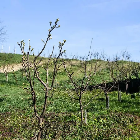 Vocnjak *